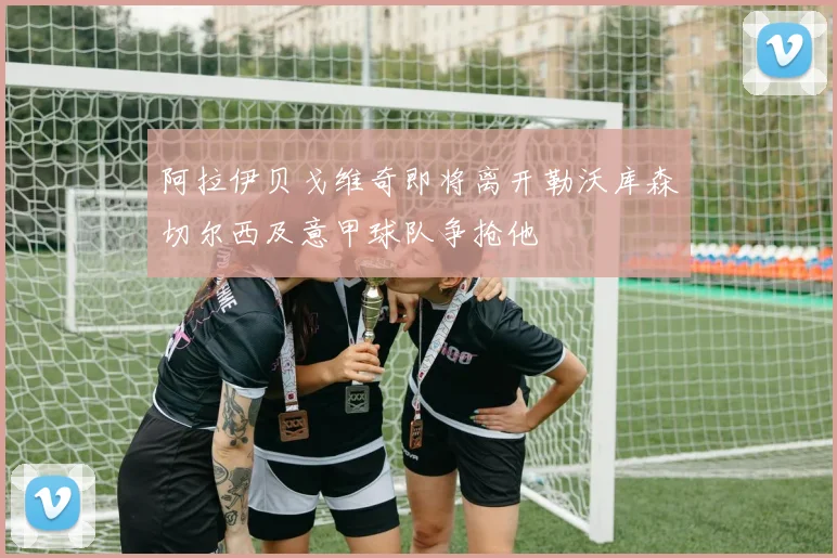 阿拉伊贝戈维奇即将离开勒沃库森切尔西及意甲球队争抢他