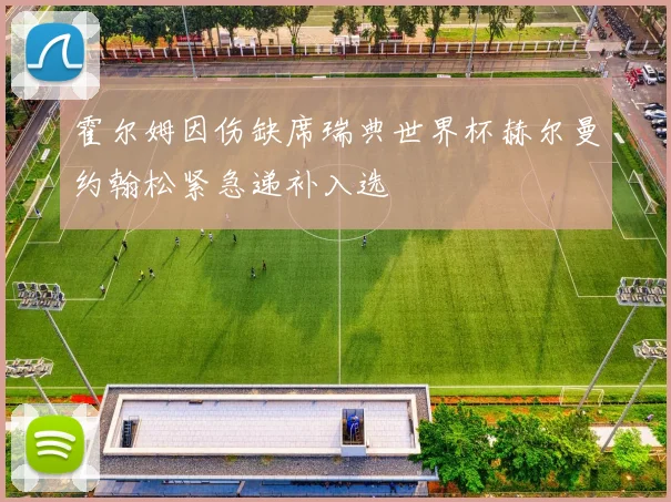 霍尔姆因伤缺席瑞典世界杯赫尔曼约翰松紧急递补入选
